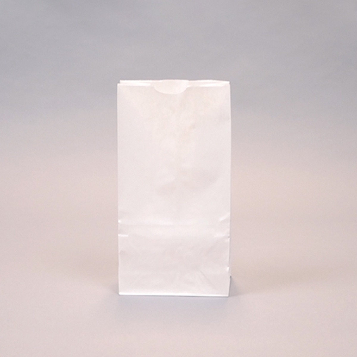 Custom-Printed White Kraft 6-lb Bag